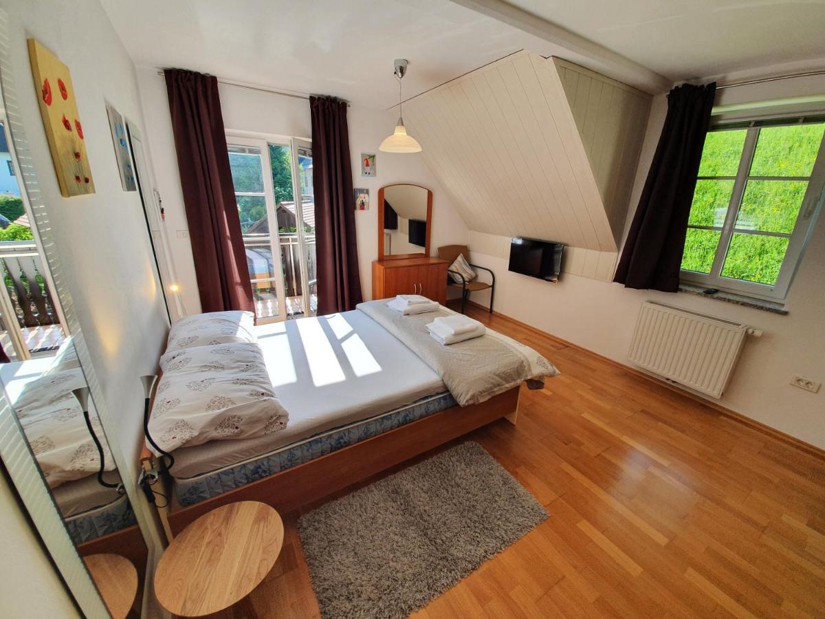 Apartman Irvin 克拉尼斯卡戈拉 外观 照片