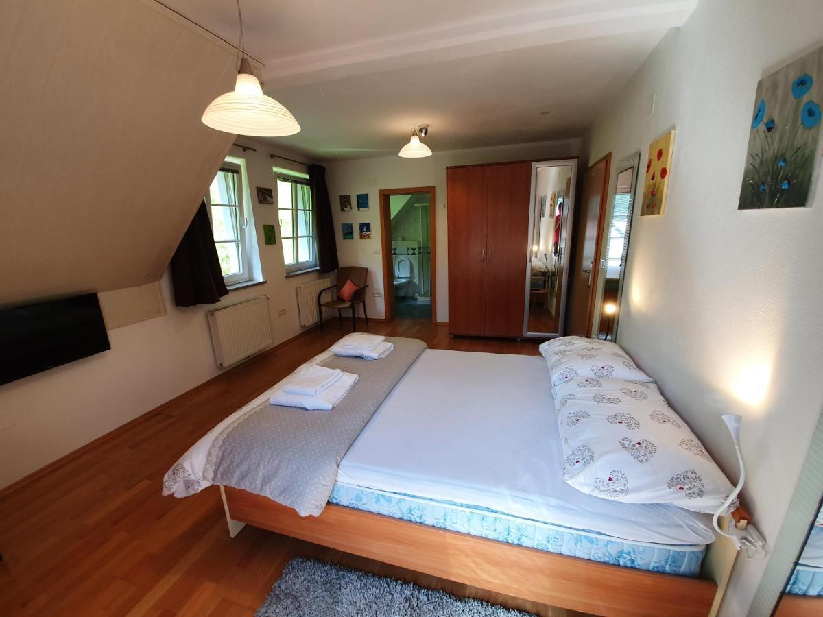 Apartman Irvin 克拉尼斯卡戈拉 外观 照片