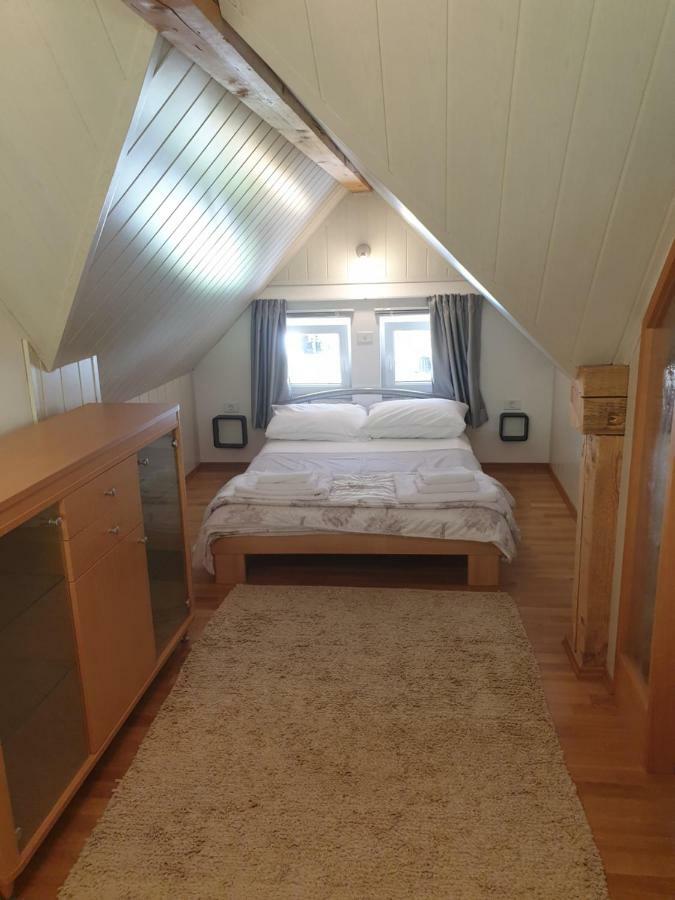 Apartman Irvin 克拉尼斯卡戈拉 外观 照片