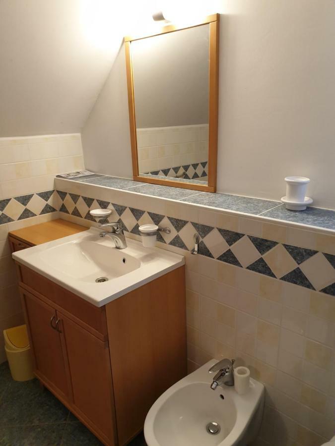 Apartman Irvin 克拉尼斯卡戈拉 外观 照片
