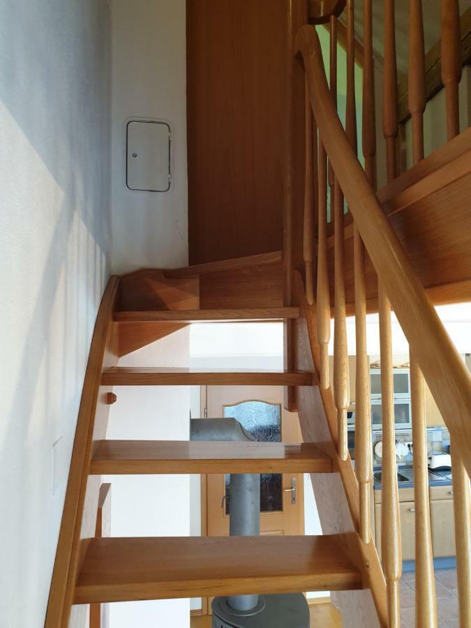 Apartman Irvin 克拉尼斯卡戈拉 外观 照片